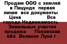 Продам ООО с землей в Пицунде, первая линия, все документы › Цена ­ 9 000 000 - Все города Недвижимость » Земельные участки продажа   . Псковская обл.,Великие Луки г.